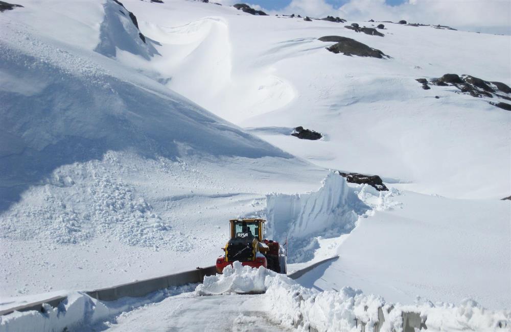 Klikk for stort bilde