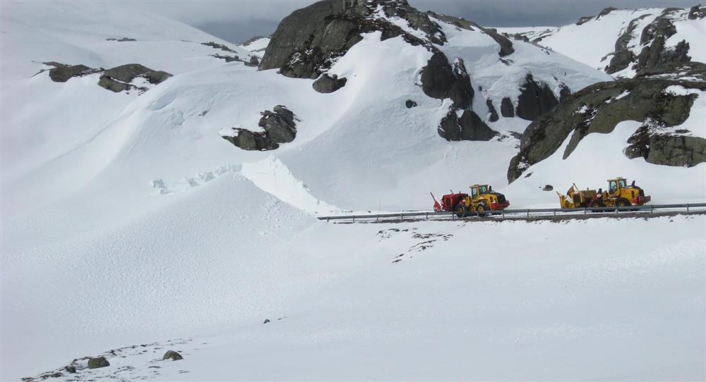 Klikk for stort bilde