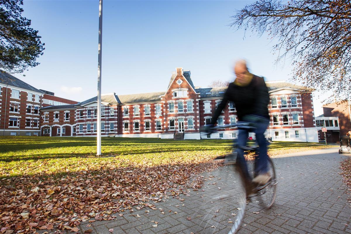 Mann sykler gjennom parken ved fylkeshuset - Klikk for stort bilde